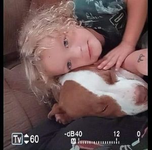 Meet your Posher, Robert